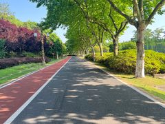 -宜兴龙背山森林公园