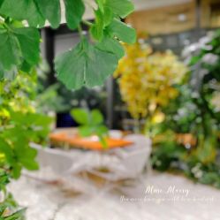 -MuseMarry婚纱(前海嘉里中心店)
