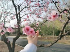 -东郊湿地公园