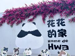 -成都大熊猫繁育研究基地