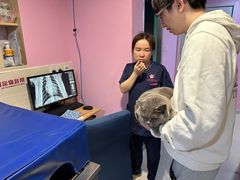 -哆趣宠物医院·眼科·内镜·急重症转诊中心(上海店)