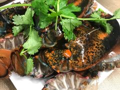 -金海阁海鲜火锅