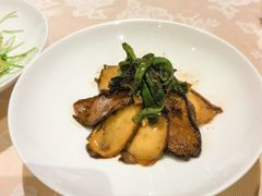 -西郊5号·Maggie 5