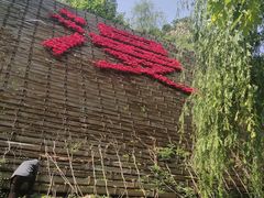 -沕沕水生态风景区