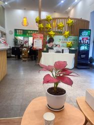 -章光101防脱养发荟