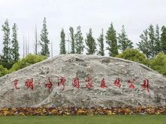 -上海海湾国家森林公园