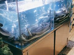 -本炙炭烤·蒲烧活鳗料理店(金沙洲店)