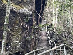 -石台牯牛降景区