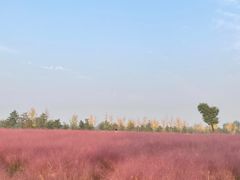 -汉长安城未央宫国家考古遗址公园