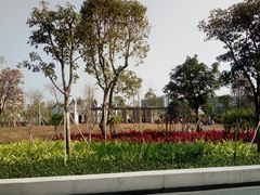 -宝安西湾红树林湿地公园