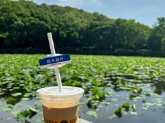 -舟山朱家尖绿城威斯汀度假酒店