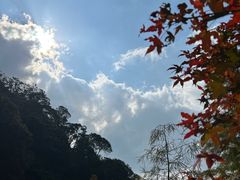 -广州市石门国家森林公园
