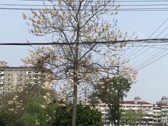 -江湾镇街道社区文化活动中心