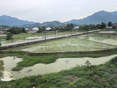 -黄牛肉馆·皖南土菜