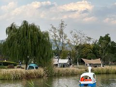 -径山花海