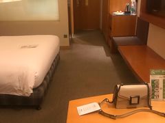 -上海浦东康桥绿地假日酒店