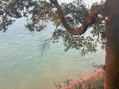 -广州市流溪河国家森林公园