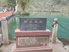 -靖西鹅泉风景区