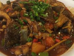 -渔夫啤酒鱼总店
