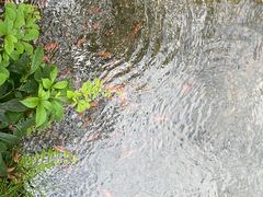 -五泄景区