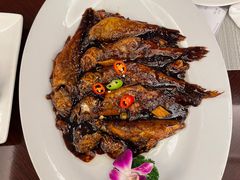 -锦江都城闵行饭店