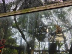 -海南热带野生动植物园