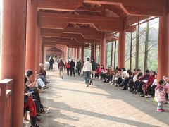 -重庆彩云湖湿地公园