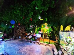 点击看大图 -酷嗒动物文化乐园(cutezoo西溪乐天城店)