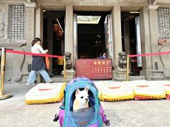 -莆田湄洲妈祖祖庙