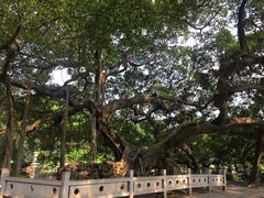 -小洲村