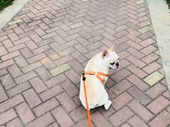 -佳雯宠物医院(金华南路分院)