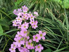 -七宝老街-闵行市民文化广场