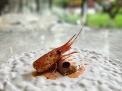 -九献创意菜·新中式(亮马河花园私宴店)
