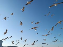 -青岛第三海水浴场