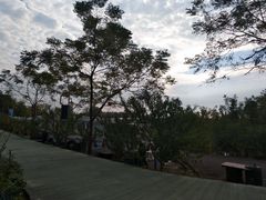 -汤山温泉房车营地 茶温泉