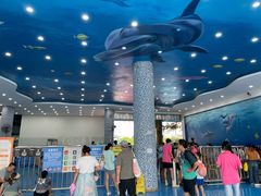 -黄金海岸水上乐园