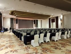 -成都世外桃源酒店-宴会厅·草坪婚礼·会议活动