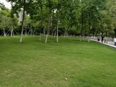 -西北湖绿化广场