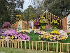 -上海共青森林公园