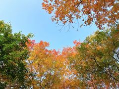 -重庆中央公园(渝北区)