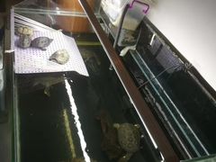 -秦美花卉(天朗·莱茵小城2期店)