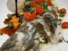 清蒸石斑鱼-春满园·早茶·粤菜·宴会(前海店)