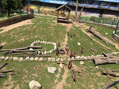 -西安秦岭野生动物园