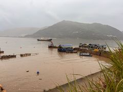 -北岐滩涂