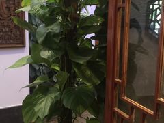 -碧露轩·大益茶体验馆(镇江路店)