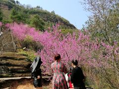 -天台山赤城山景区