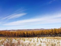 -塞罕坝国家级自然保护区