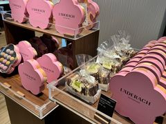 -Laderach 莱德拉(上海环贸iapm店)