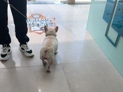 -佳雯宠物医院·皮肤科·内外科(春晓路分院)