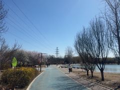 -太阳宫公园